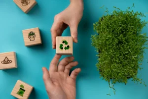 Monitoring Sustainability: The Growth of Eco-Friendly Bond Indexes